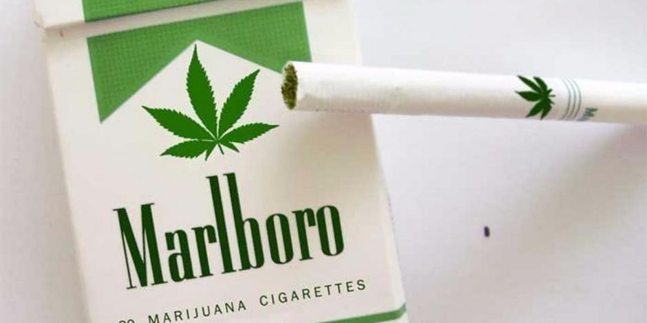 Con inversión multimillonaria, Marlboro incursiona en negocio de la mariguana