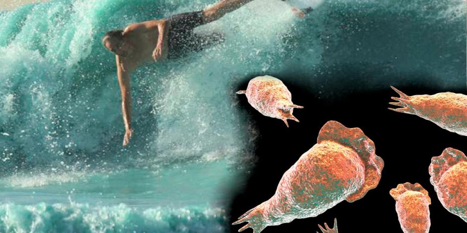 Joven hace surf y muere por la "ameba come cerebros"