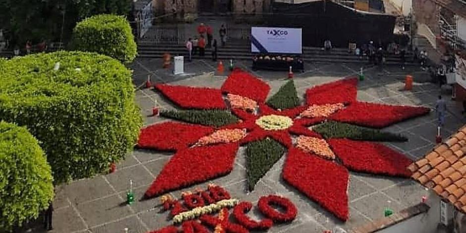 En Taxco forman monumental flor de nochebuena en Plaza Borda