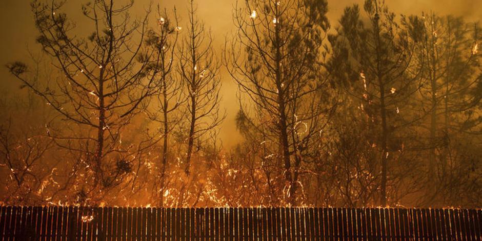 Científicos desmienten a Trump sobre la causa de incendios en California