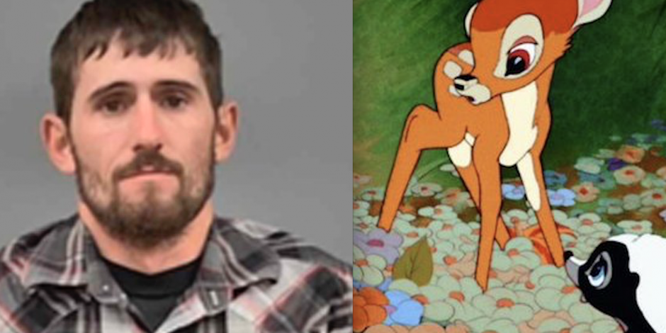 Cazador furtivo, condenado a ver la película "Bambi" durante un año