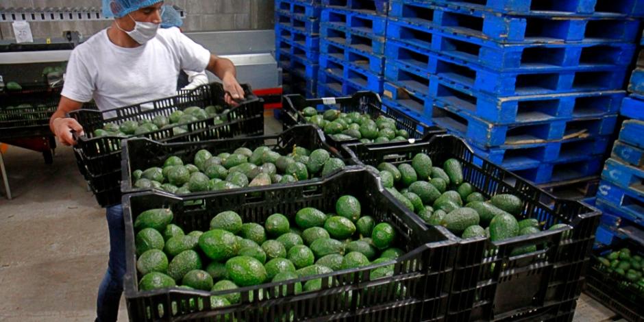 En los primeros siete meses del año, el comercio total agroalimentario de México con sus socios comerciales alcanzó 47 mil 002 millones de dólares.