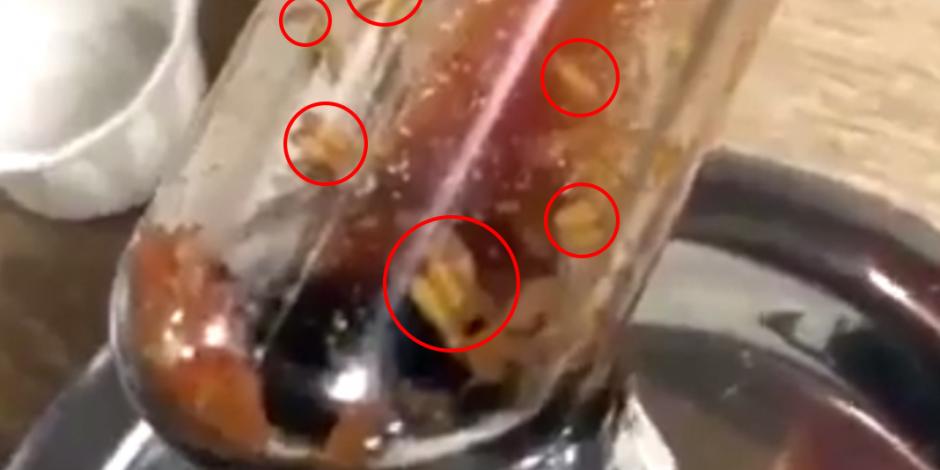 VIDEO: Cliente encuentra cientos de gusanos en catsup de McDonalds