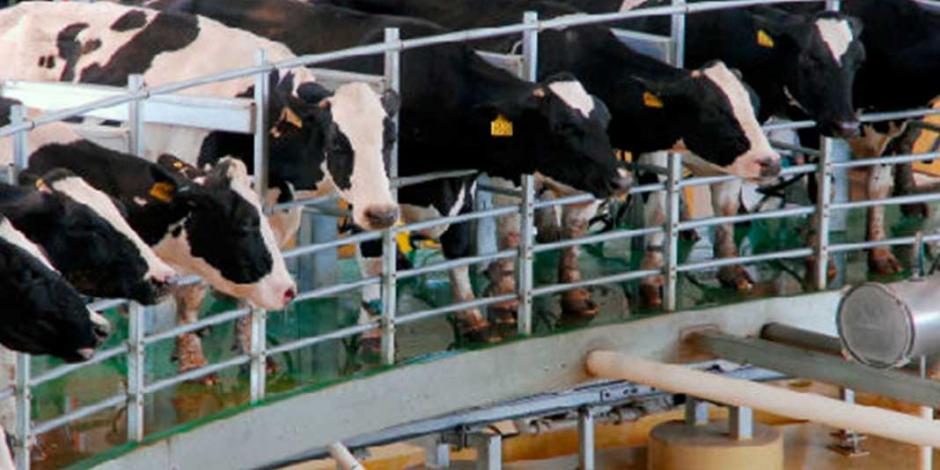 Sector lácteo de EU solicita a Trump frenar arancel a México
