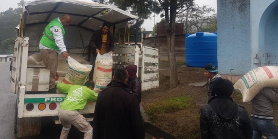 Seguirán los apoyos en Chalchihuitán ante retorno de desplazados: Gómez Aranda