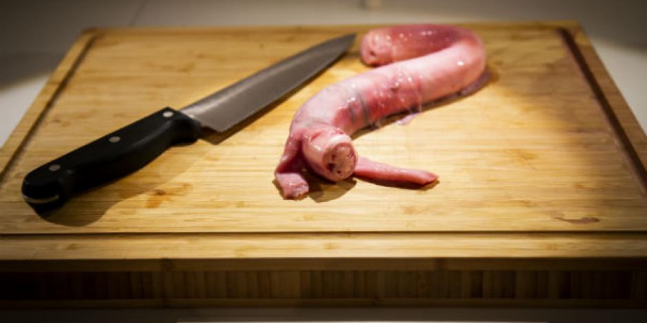 FOTOS: Conoce al Museo de la Comida Repugnante en Suecia