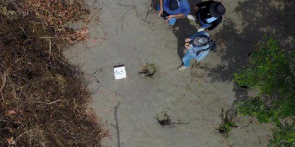 Descubren en Veracruz fosas clandestinas con 166 cuerpos