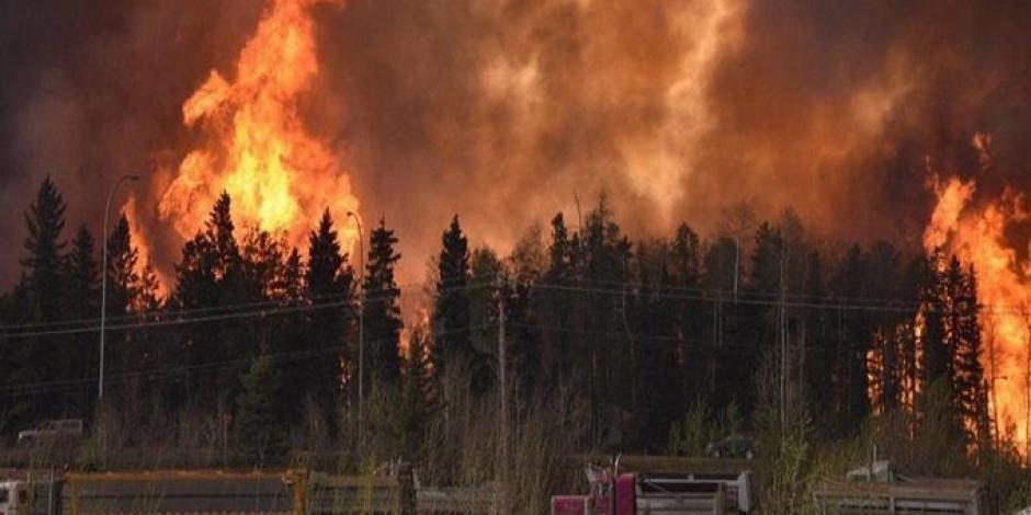 FOTOS: Bomberos mexicanos viajan a Canadá para enfrentar incendios forestales