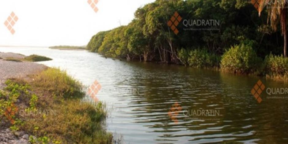 Ataca cocodrilo a pescador en laguna de Oaxaca