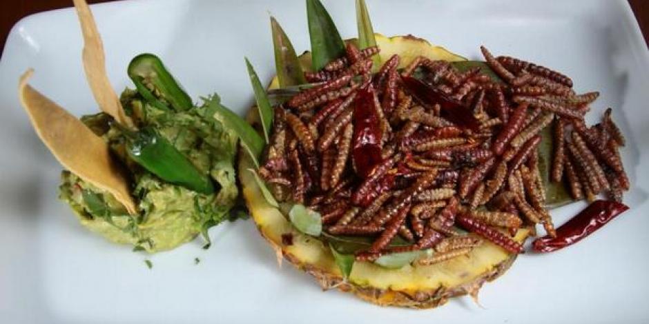 VIDEO: Chinicuil, codiciado manjar de la gastronomía mexicana
