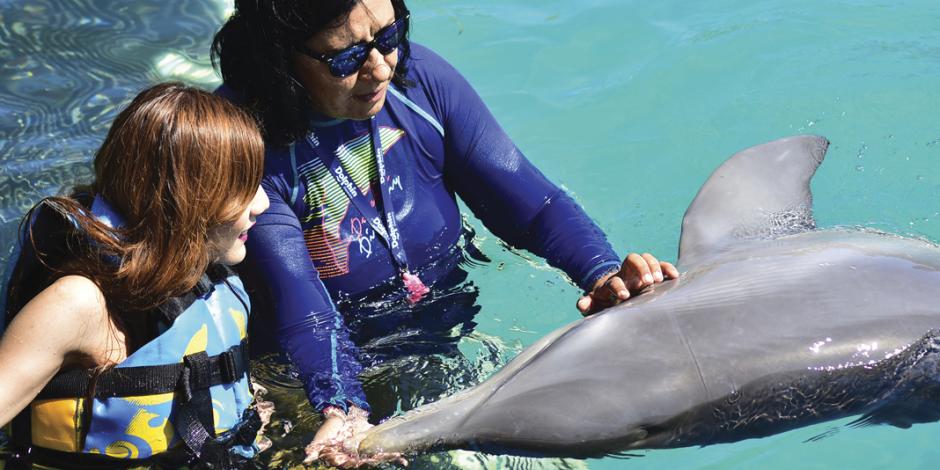 Nado con delfines, vivencia única atacada con el cliché del maltrato