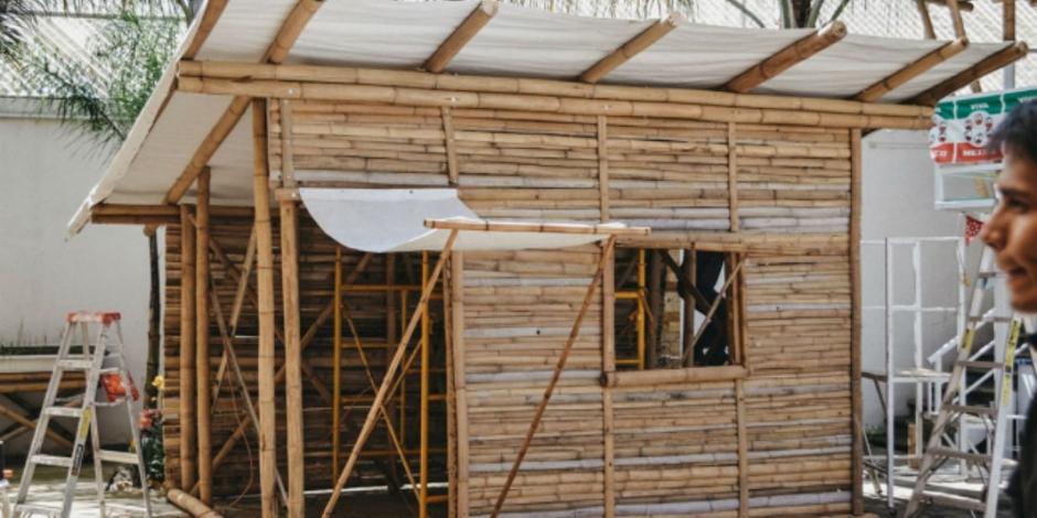 Organizaciones reconstruirán Puebla con casas de bambú