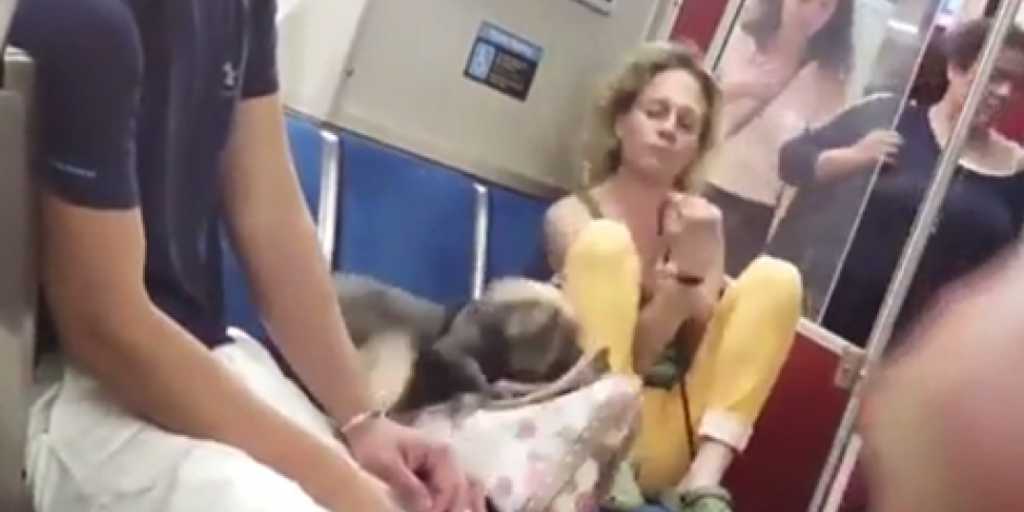 VIDEO: Graban a mujer que maltrata a su perro en el metro de Canadá
