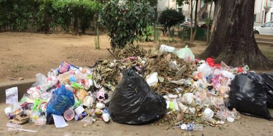 VIDEO: Convierten calles y avenidas de Oaxaca en basureros
