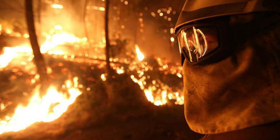 Incendios forestales aumentan 15% en 24 horas.