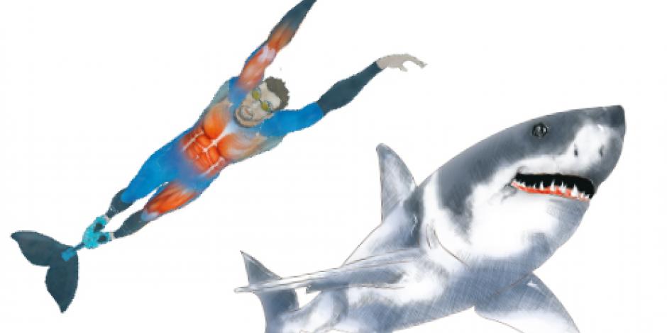 Gana un tiburón prueba a Phelps... por dos segundos