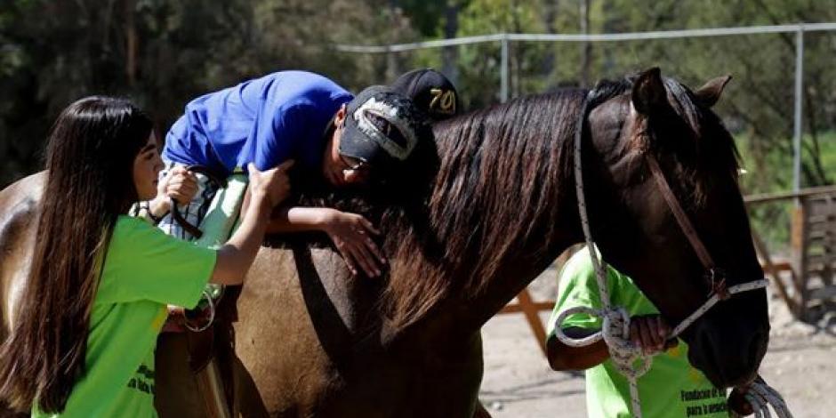 VIDEO: Terapia con caballos, opción para superar miedos tras el sismo