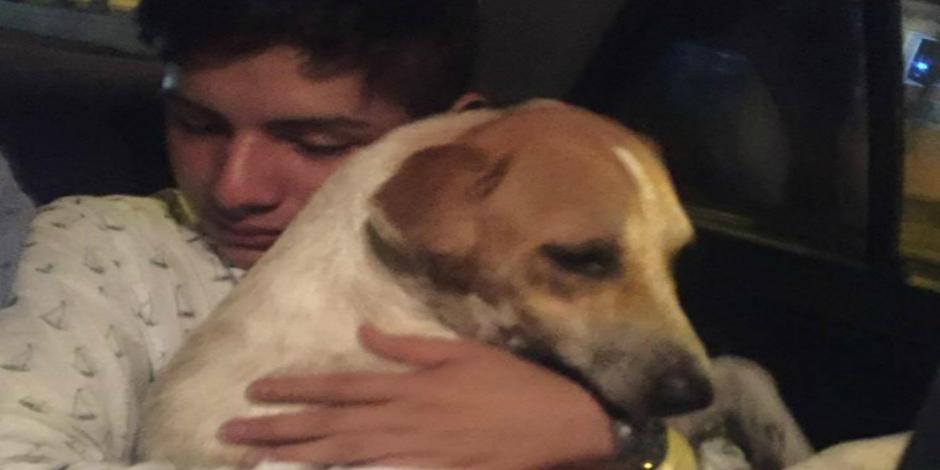 VIDEO: Joven sale de antro y adopta a un perro