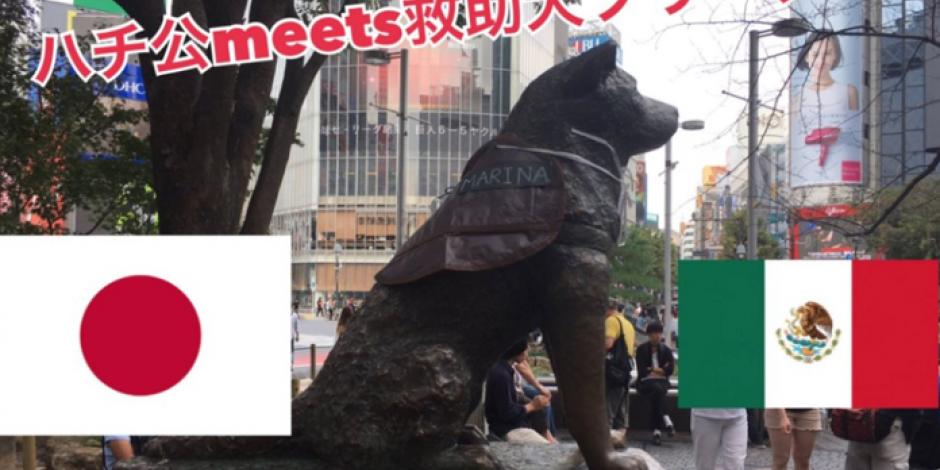 Ponen chaleco de la Marina a estatua de Hachiko en Japón
