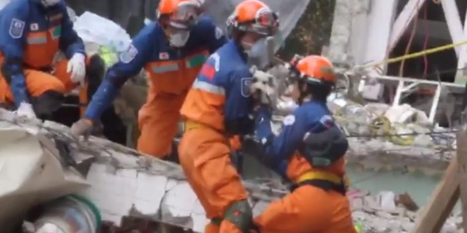 VIDEO: Japoneses rescatan a perro en multifamiliar de Tlalpan