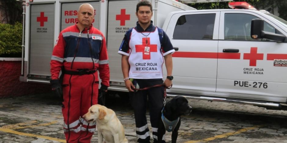 VIDEO: Maia y Luna, los perros rescatistas de la Cruz Roja