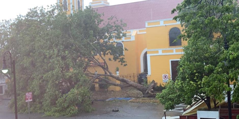 Los vientos derribaron un árbol afuera de una iglesia