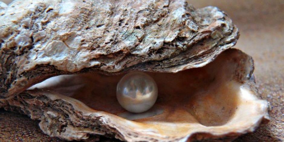 Exhiben perla que pesa 34 kilos en Filipinas