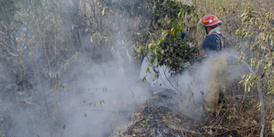 Universitarios desarrollan sistema para prevenir incendios forestales