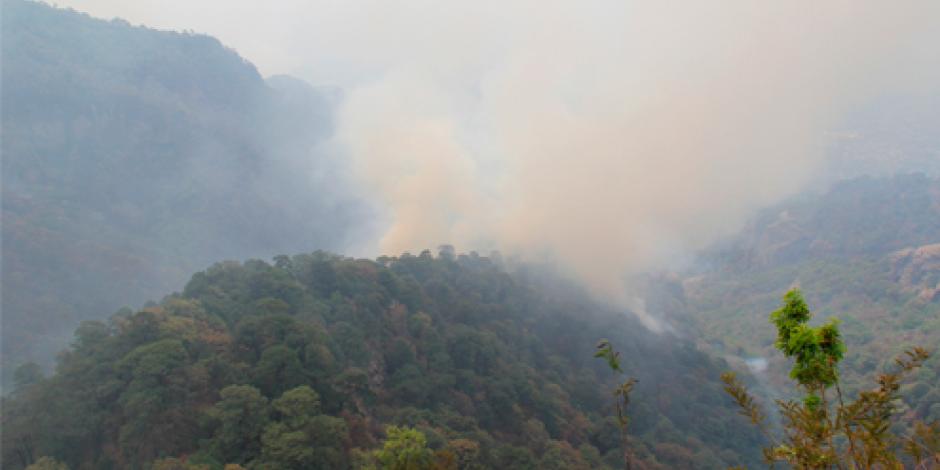 Este miércoles se desplegaron 202 brigadistas para controlar el incendio en el Parque Nacional Tepozteco, en Tepoztlán 