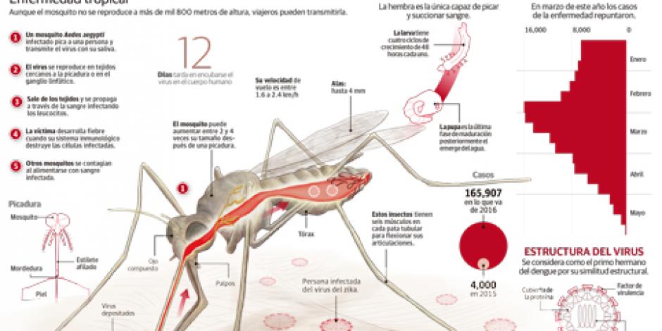 Zika, la amenaza viral en los Juegos Olímpicos