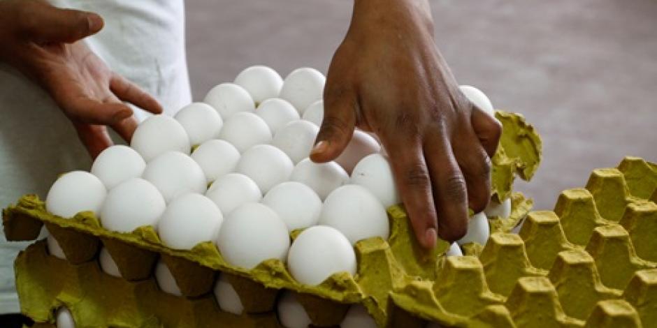La Unión Nacional de Avicultores alerta que Estados Unidos decomisa diariamente 390 piezas de huevo de contrabando procedentes de México