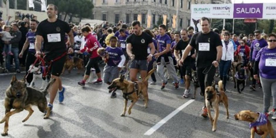 Realizan "Perrotón" en España; piden frenar el maltrato animal