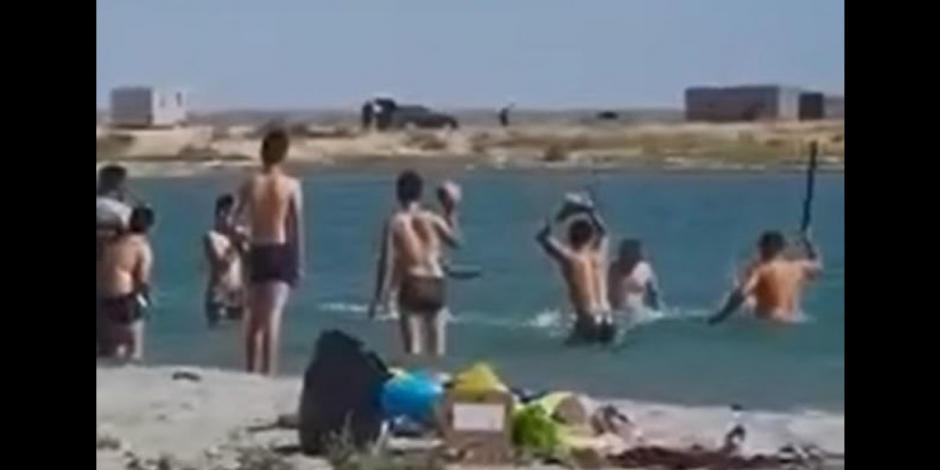 Con palos turistas golpean a foca