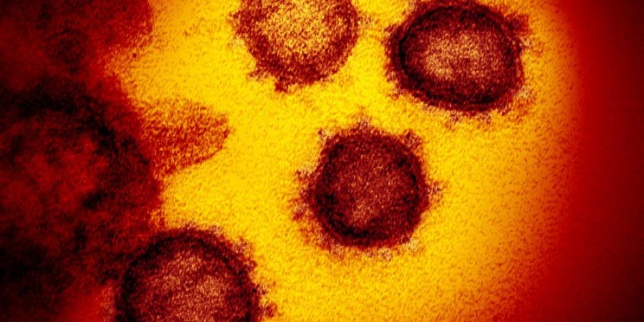 La SSa informó que en nuestro país se tienen detectadas 38 variantes de preocupación de la cepa del virus SARS-CoV-2.