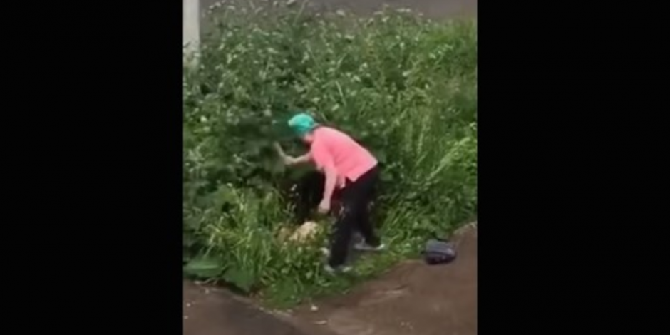 Mujer golpea con una tabla a pareja entre los arbustos