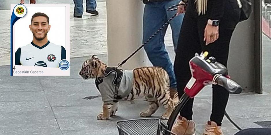 La supuesta novia del jugador del América mientras paseaba a un cachorro de Tigres en Antara..
