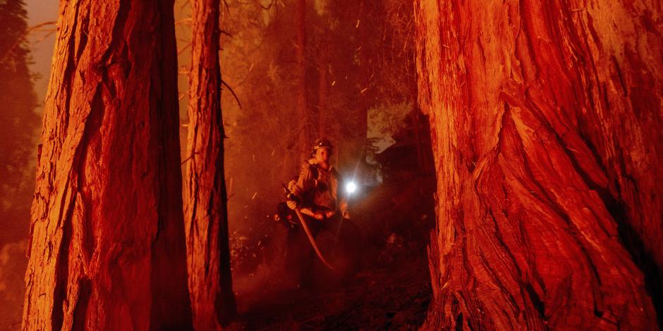 Un bombero entre las llamas que consumen los bosques de California.