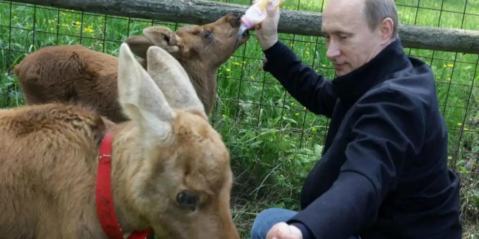 El presidente ruso, en las imágenes compartidas por el Kremlin.