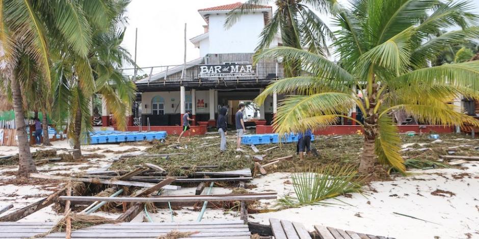 Palmeras caídas por el paso del huracán Delta en la zona hotelera de Cancún, ayer.
