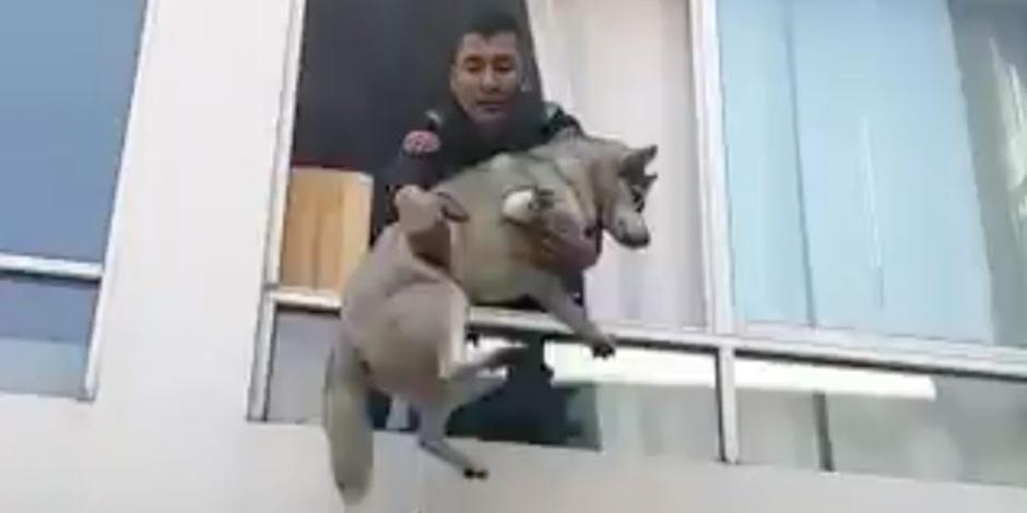 El rescate lo realizó un policía de la Secretaría de Seguridad de la Ciudad de México.