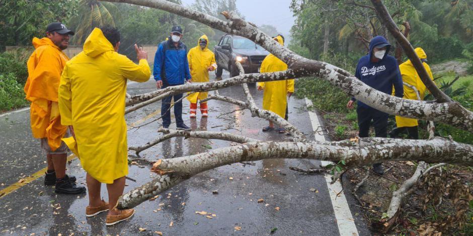 Personal de Protección Civil continúa el retiro de árboles caídos a causa de la tormenta "Zeta".