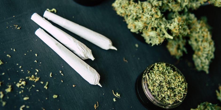Legalización de la marihuana: se prevé que el dictamen sea avalado este lunes por las Comisiones Unidad, mientras que el martes estaría subiendo al pleno de la Cámara de Diputados.