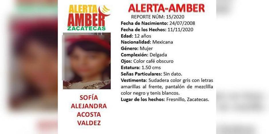 Ficha de la Alerta Amber emitida por la desaparición de la menor.