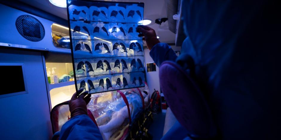 Un paramédico revisa las placas de tórax de un paciente trasladado en ambulancia a un hospital para su atención.