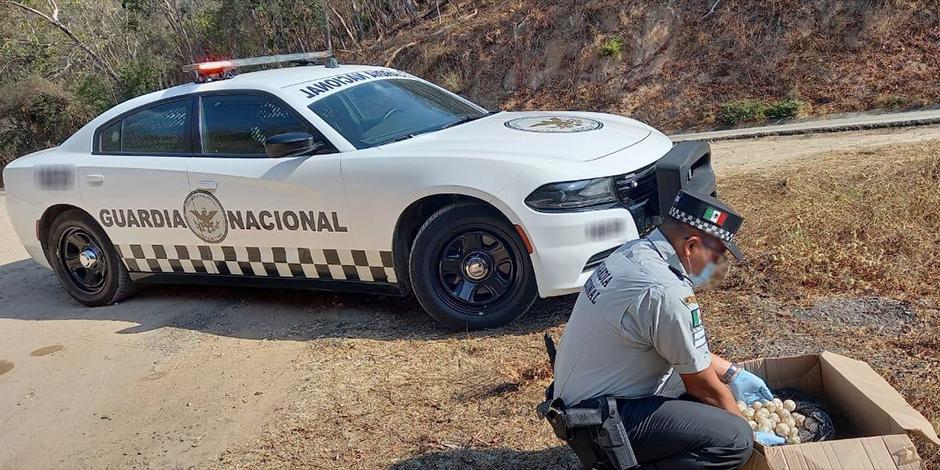 La Guardia Nacional decomisó una caja con los huevos en el municipio de San Miguel del Puerto, en Oaxaca.