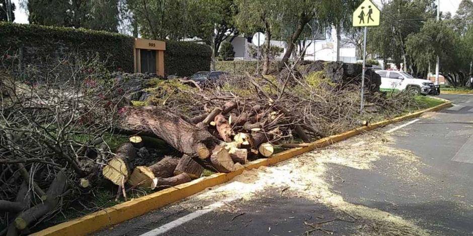 La Secretaría de Gestión Integral de Riesgos y Protección Civil informó que los fuertes vientos registrados en la CDMX dejaron afectaciones en 7 alcaldías.
