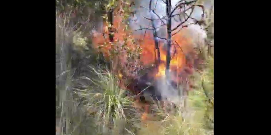 Incendio en la comunidad de San Miguel Topilejo, en la CDMX.
