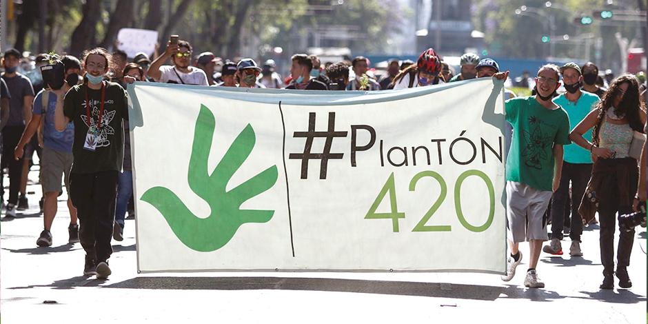 Grupos pro-cannabis marcharon ayer en la CDMX para exigir la legalización de su uso.