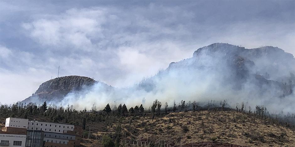 Este miércoles 24 de marzo se registró un incendio en el Cerro de la Bufa, en Zacatecas.