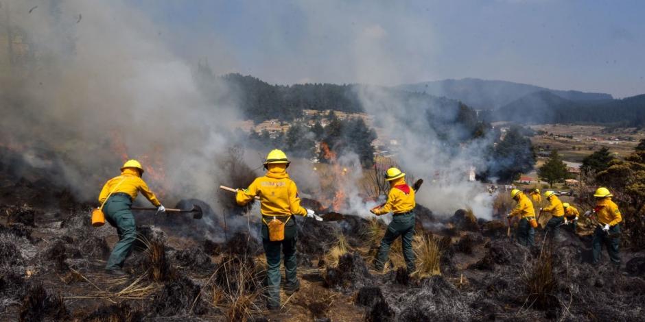 Desde el añoa pasado el fenómeno La Niña ha provocado sequías en México y con ello se han provocado incendios.